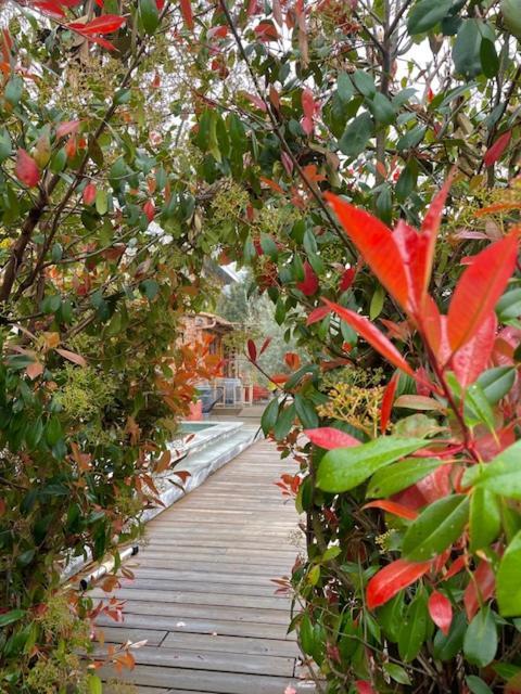 Casa Santa Lucia Bed and Breakfast Bocognano Εξωτερικό φωτογραφία